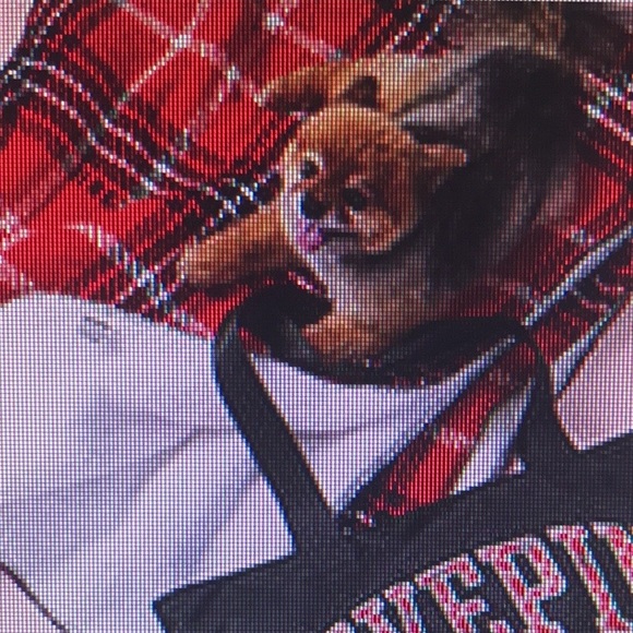 Victoria’s Secret cozy-plush blanket New - Picture 6 of 6